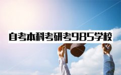 自考本科考研能考到985学校吗？