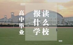 高中毕业能报考什么学校？